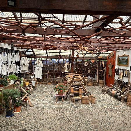 Casa Vlad Hotel Haţeg Екстериор снимка