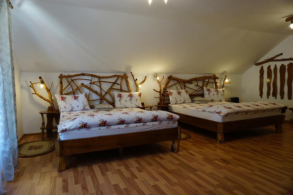 Casa Vlad Hotel Haţeg Екстериор снимка